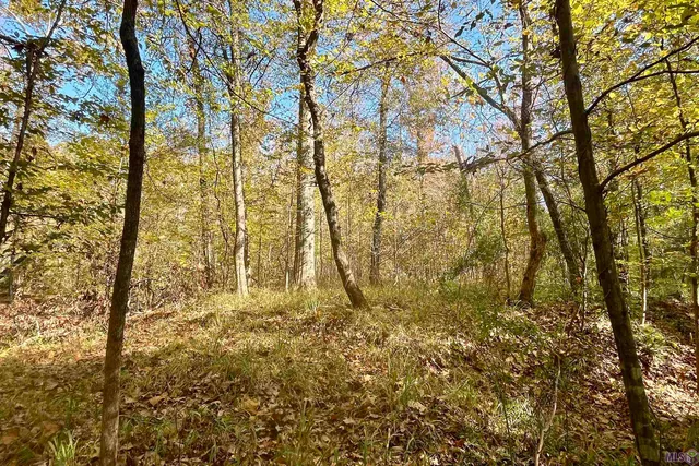 $455,000 | 1 Stampley Road, Roxie, MS 39661