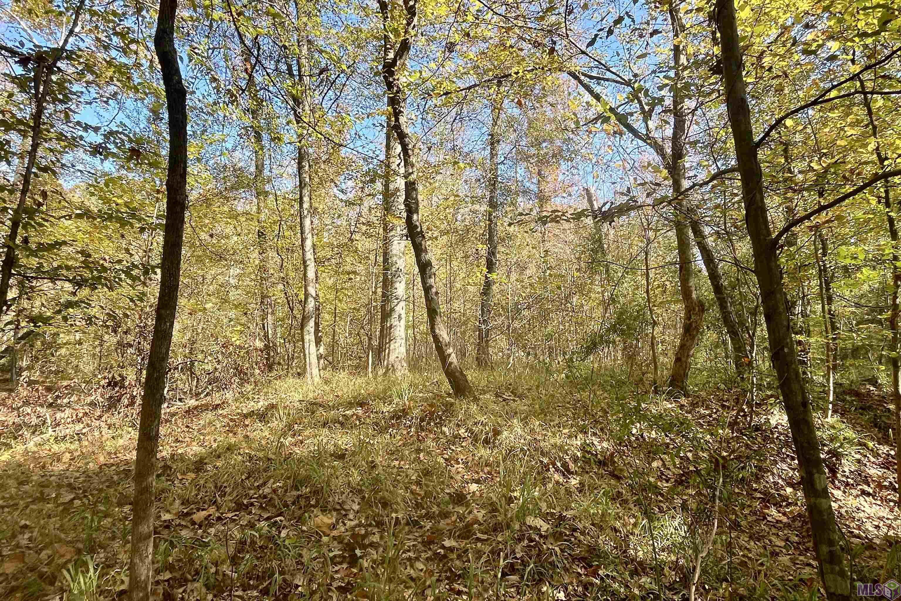 1 Stampley Road Roxie, MS 39661 - Photo 30 of 36