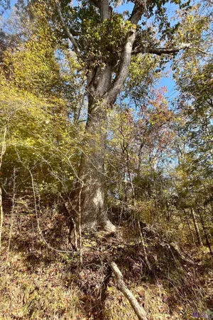 $455,000 | 1 Stampley Road, Roxie, MS 39661