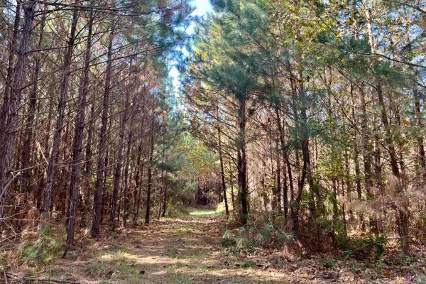 $455,000 | 1 Stampley Road, Roxie, MS 39661