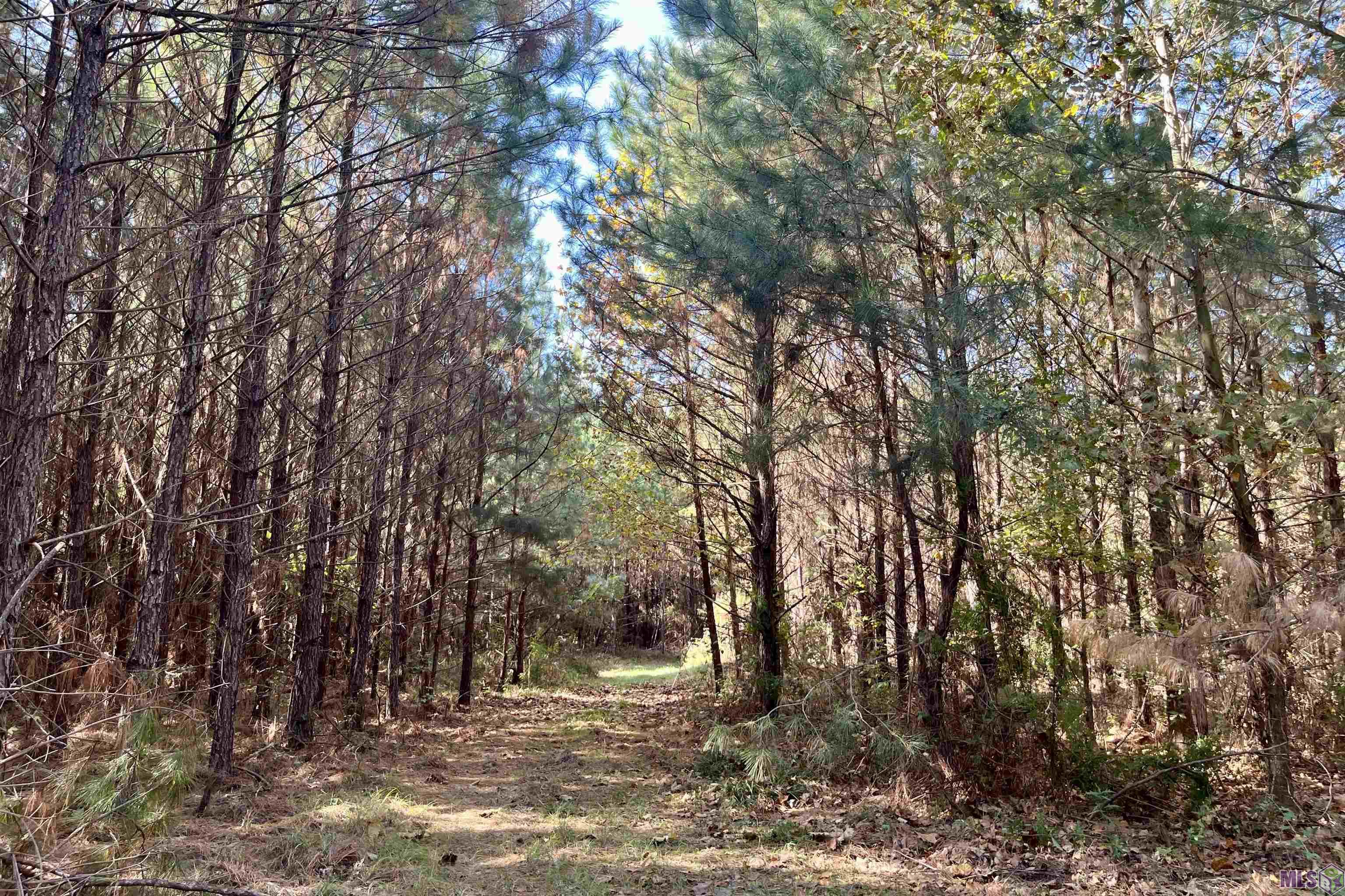 1 Stampley Road Roxie, MS 39661 - Photo 33 of 36