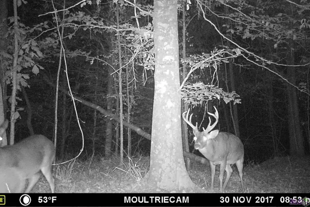 $455,000 | 1 Stampley Road, Roxie, MS 39661