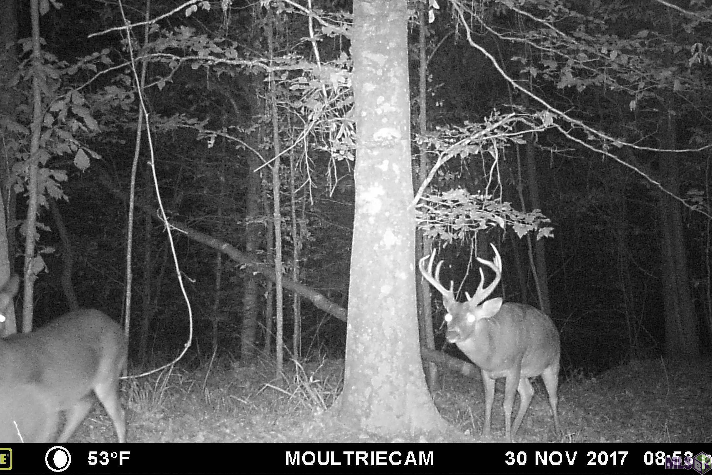 1 Stampley Road Roxie, MS 39661 - Photo 4 of 36