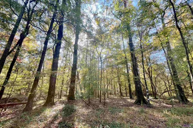 $455,000 | 1 Stampley Road, Roxie, MS 39661