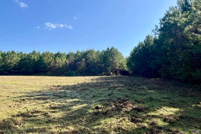 $455,000 | 1 Stampley Road, Roxie, MS 39661