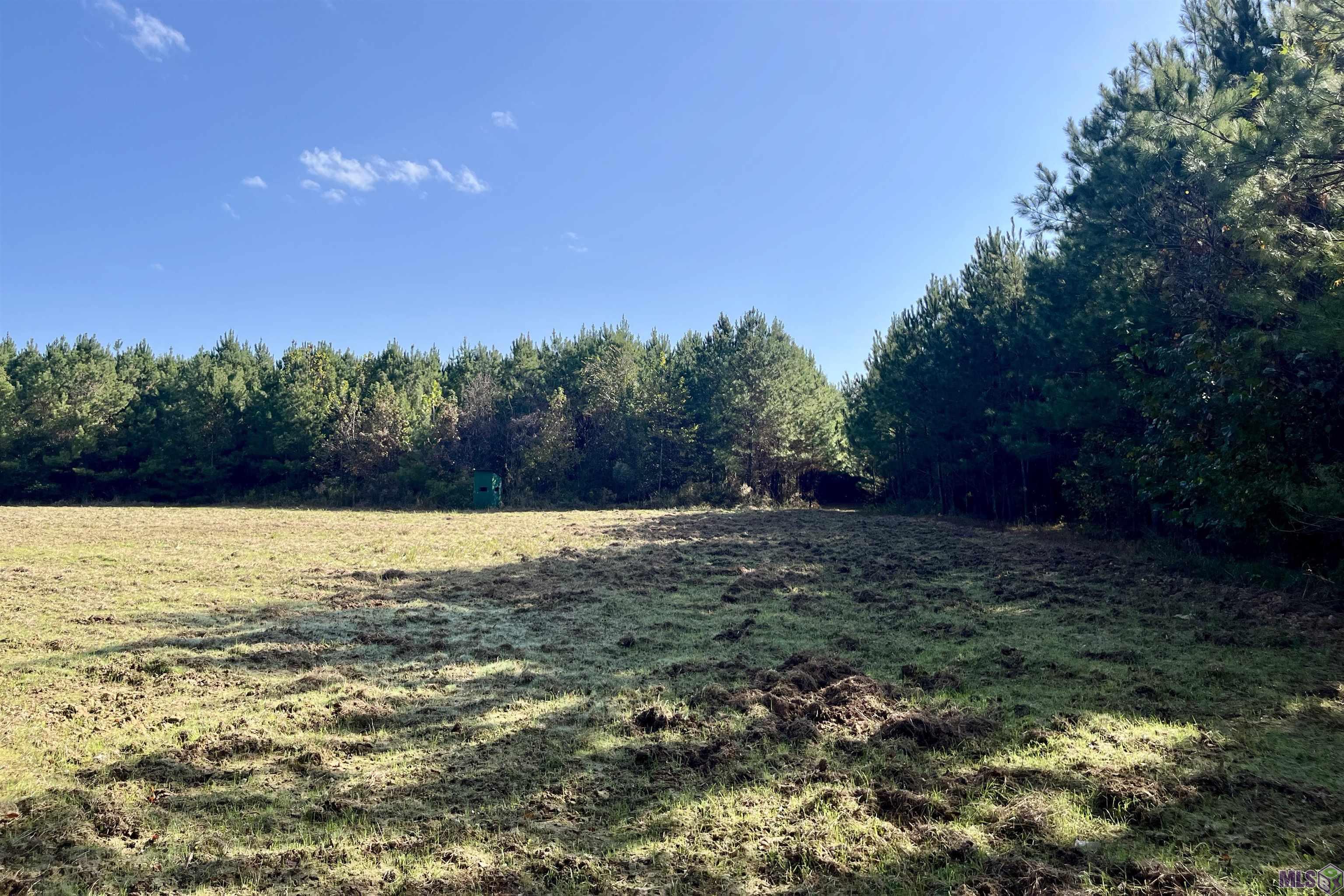 1 Stampley Road Roxie, MS 39661 - Photo 6 of 36