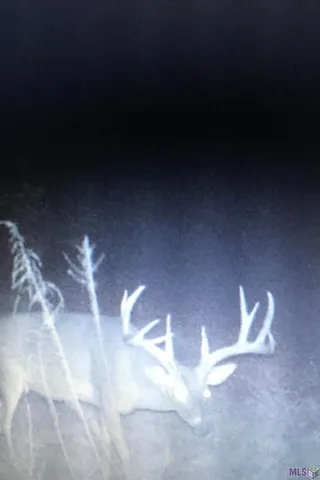 $455,000 | 1 Stampley Road, Roxie, MS 39661