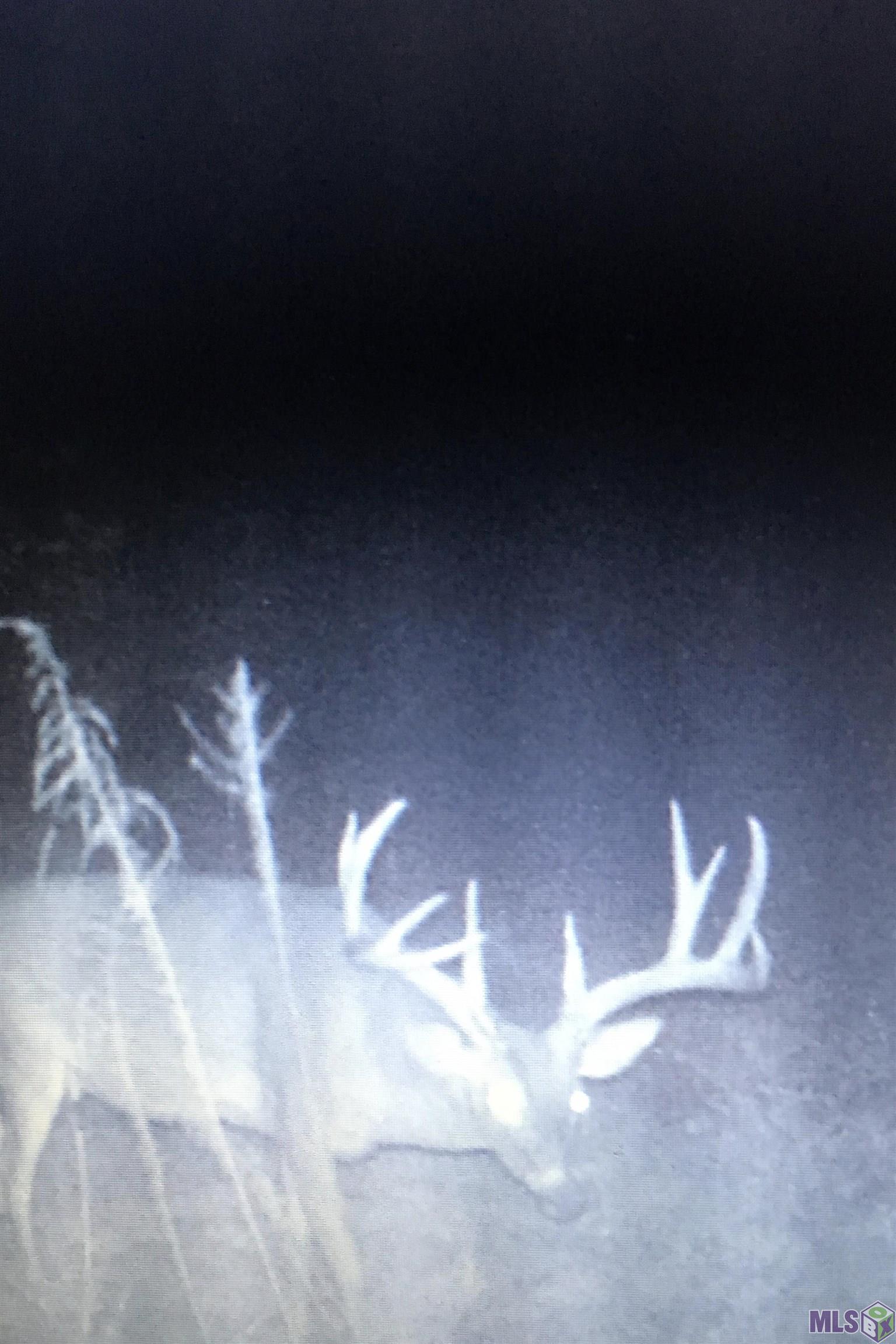 1 Stampley Road Roxie, MS 39661 - Photo 7 of 36