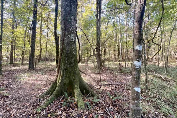 $455,000 | 1 Stampley Road, Roxie, MS 39661