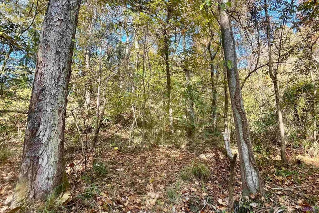 $455,000 | 1 Stampley Road, Roxie, MS 39661