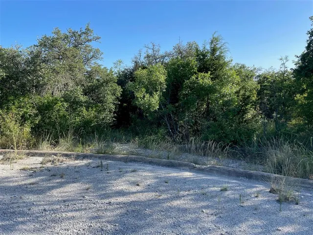 a view of backyard with green space