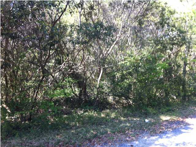 0 Roberts Road Charleston, SC 29412 - Photo 3 of 4 Additional Photo