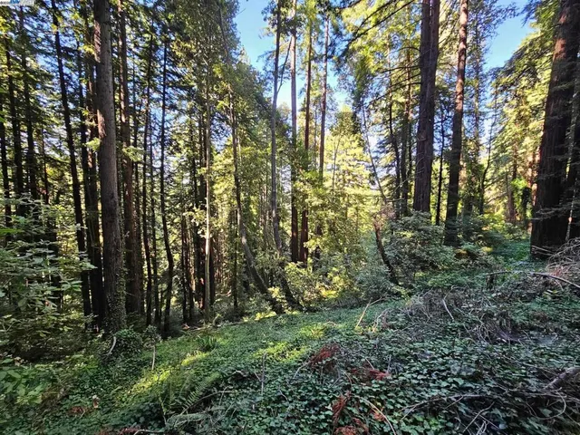 $750,000 | 26 Old La Honda Road, Woodside, CA 94062