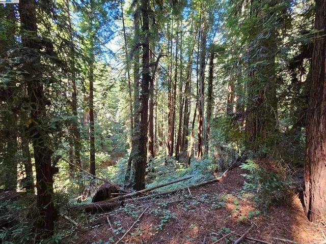 $750,000 | 26 Old La Honda Road, Woodside, CA 94062