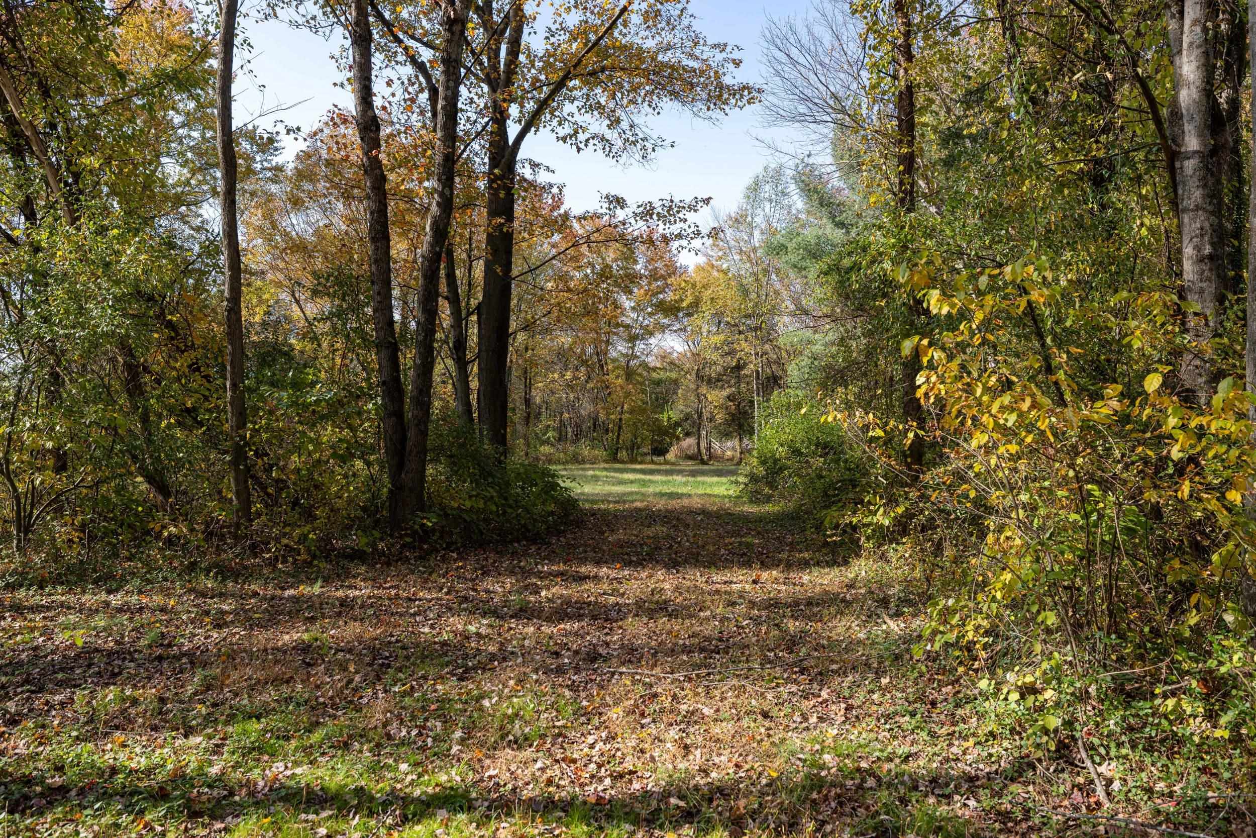 Off Dry Run Road Luray, VA 22835 - Photo 41 of 73 Gallery Image 41