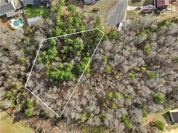 a view of a yard with plants