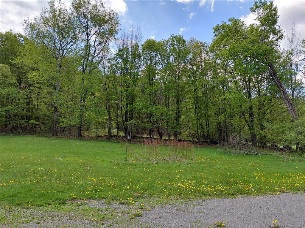 474 Dibble Road Harpersfield, NY 13788 - Photo 25 of 29