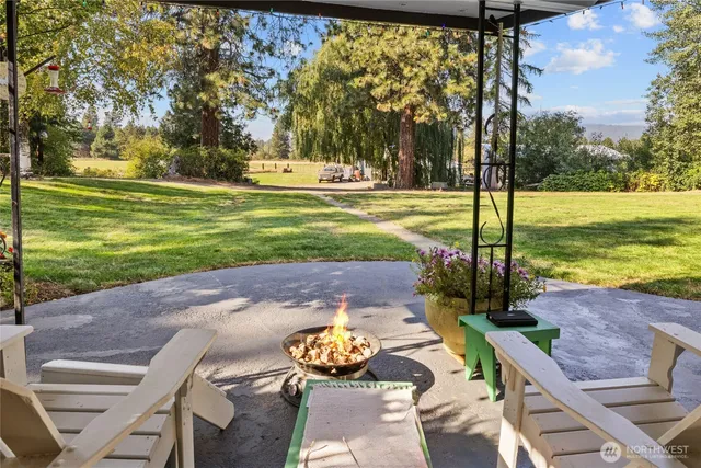 a view of a park with large trees