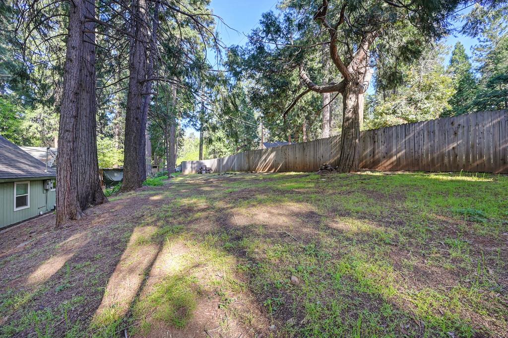 6252 Pony Express Trail Pollock Pines, CA 95726 - Photo 38 of 43 a view of backyard with tree
