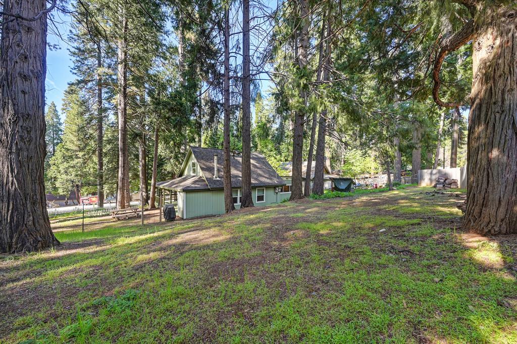 6252 Pony Express Trail Pollock Pines, CA 95726 - Photo 40 of 43 a view of a house with a big yard and large trees