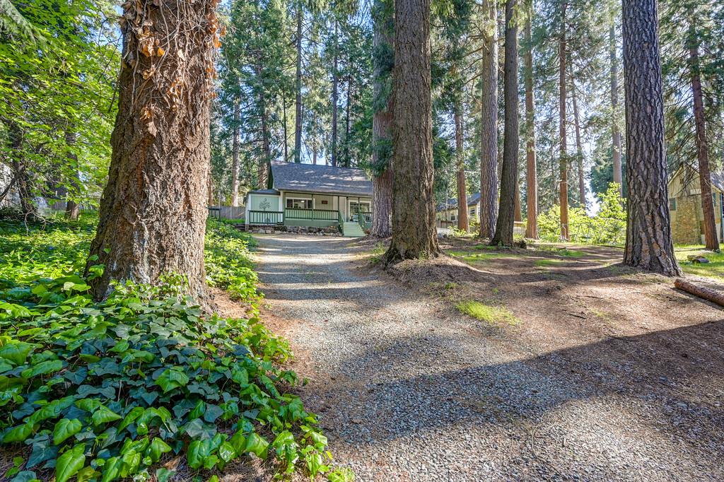 6252 Pony Express Trail Pollock Pines, CA 95726 - Photo 43 of 43 a backyard of a house with lots of green space
