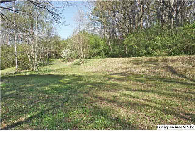2149 Old Springville Road Birmingham, AL 35235 - Photo 4 of 32