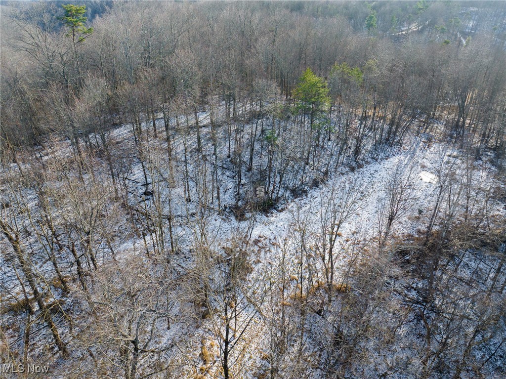 9 County Road New Matamoras, OH 45767 - Photo 40 of 48 Aerial view of property's location featuring a forest