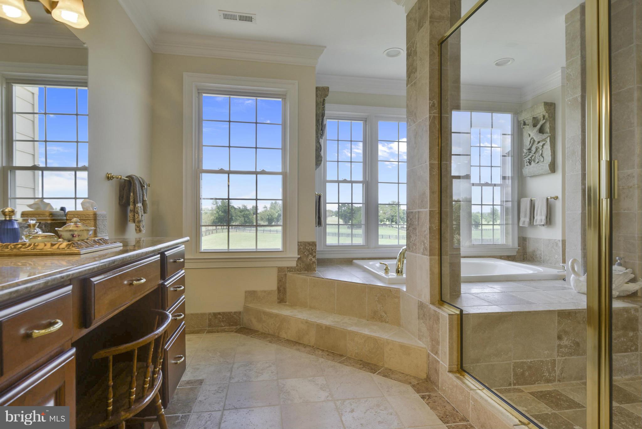 15679 Limestone School Road Leesburg, VA 20176 - Photo 22 of 30 Bath (Master)