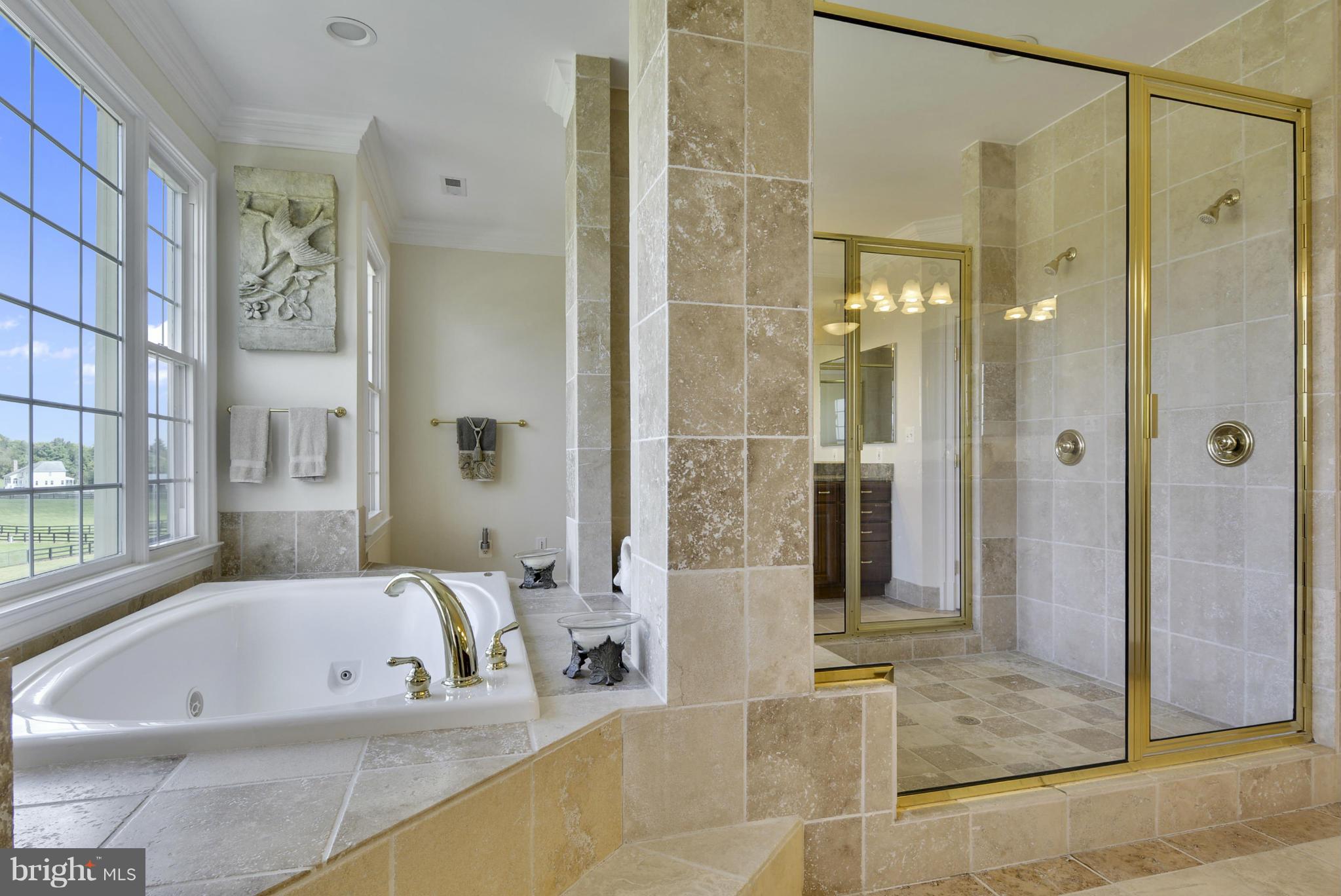 15679 Limestone School Road Leesburg, VA 20176 - Photo 23 of 30 Bath (Master)