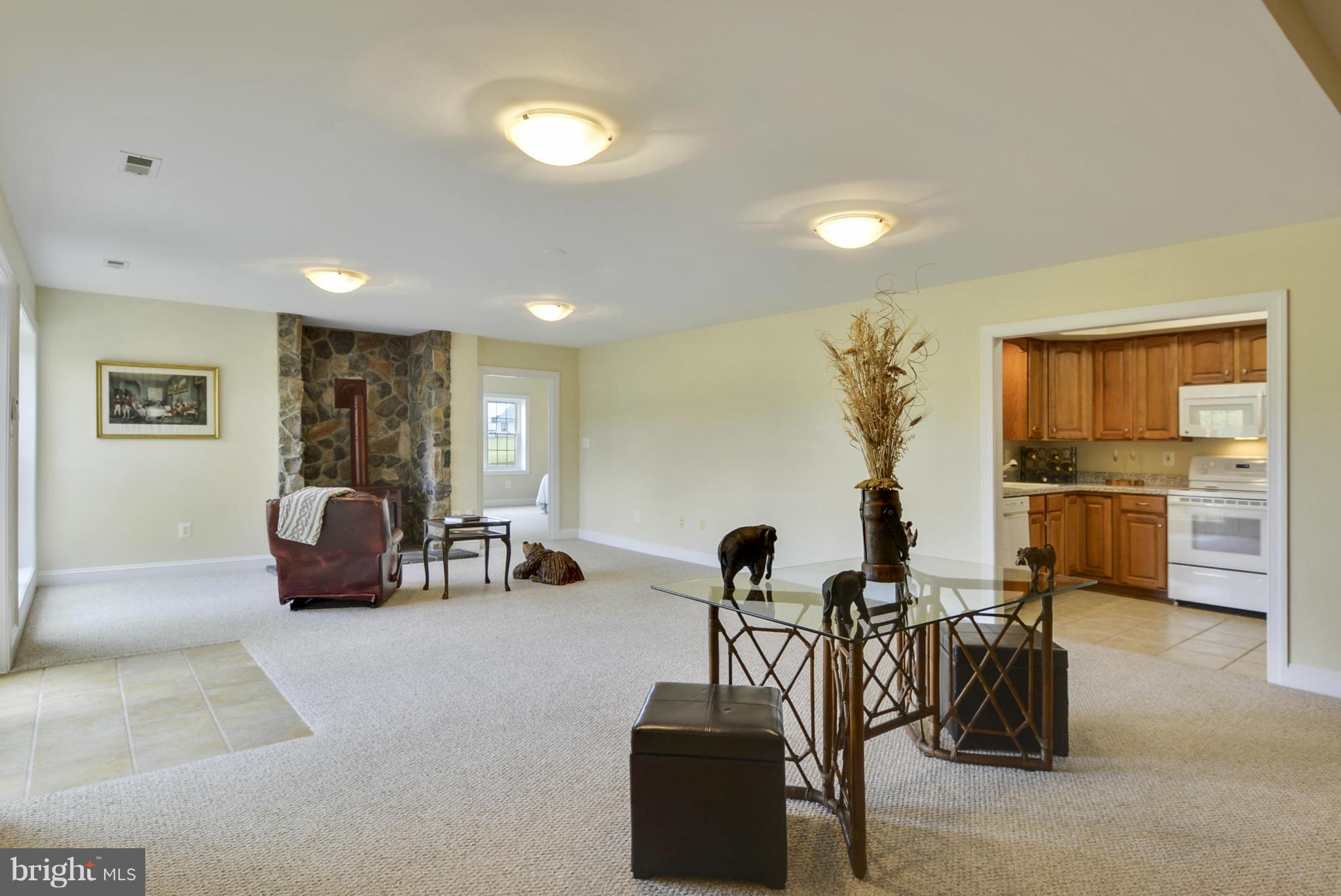 15679 Limestone School Road Leesburg, VA 20176 - Photo 26 of 30 Basement