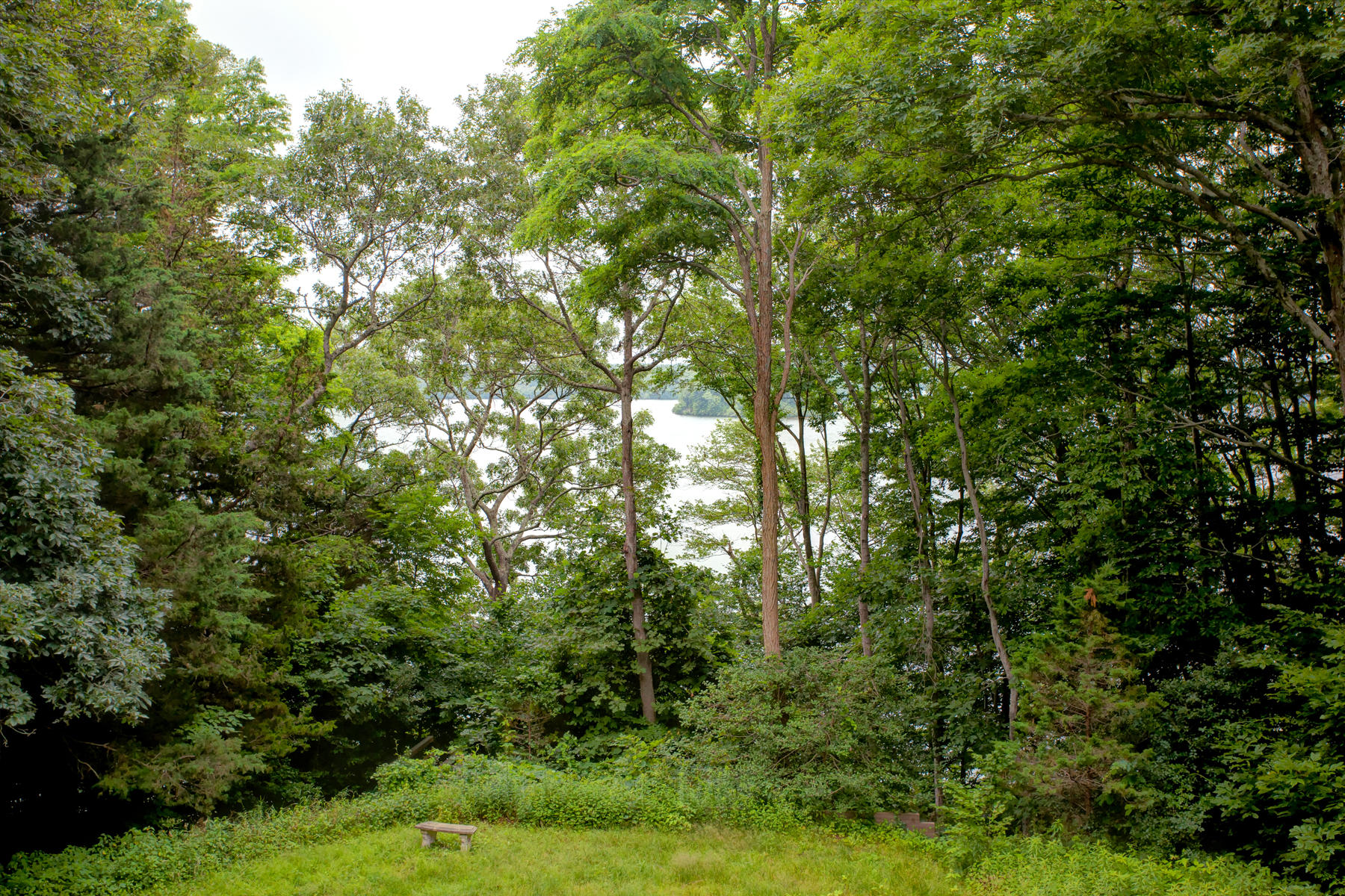 170 Pimlico Pond Road Mashpee, MA 02649 - Photo 17 of 29 a view of a lush green forest