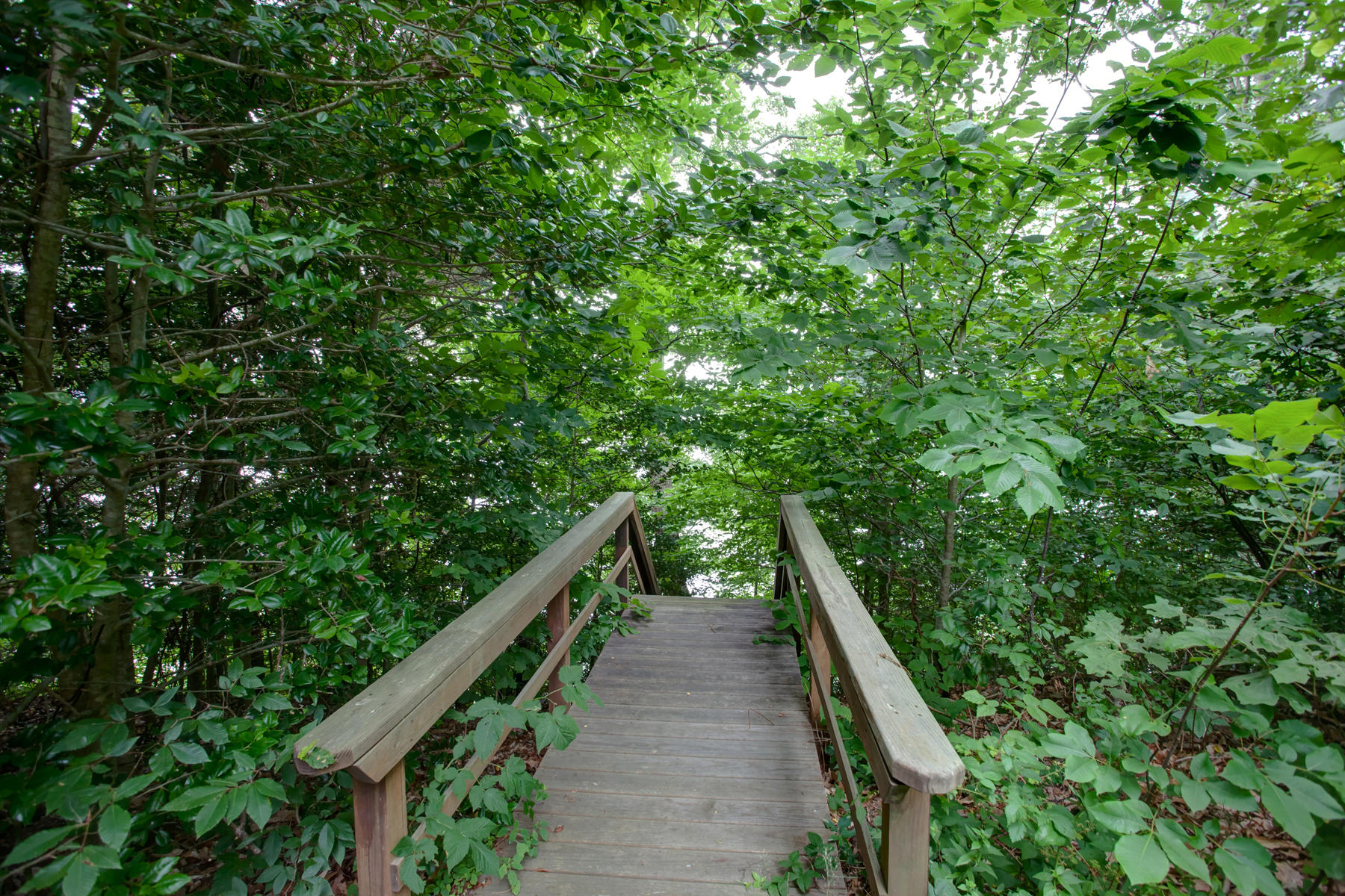 170 Pimlico Pond Road Mashpee, MA 02649 - Photo 29 of 29