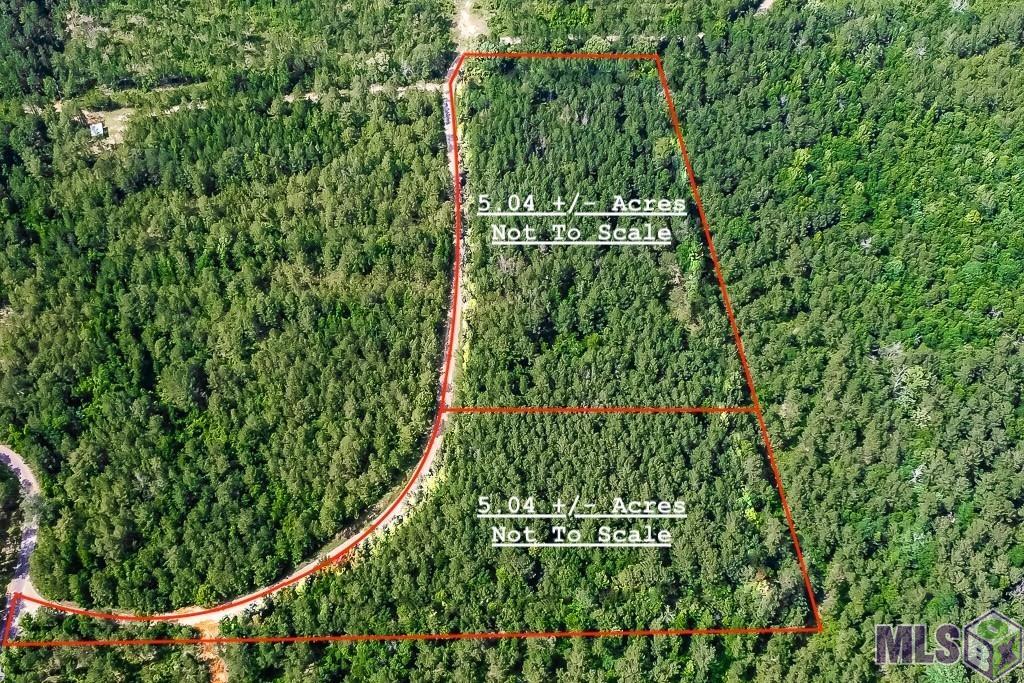 Tbd Pipes Lane Liberty, MS 39645 - Photo 3 of 6