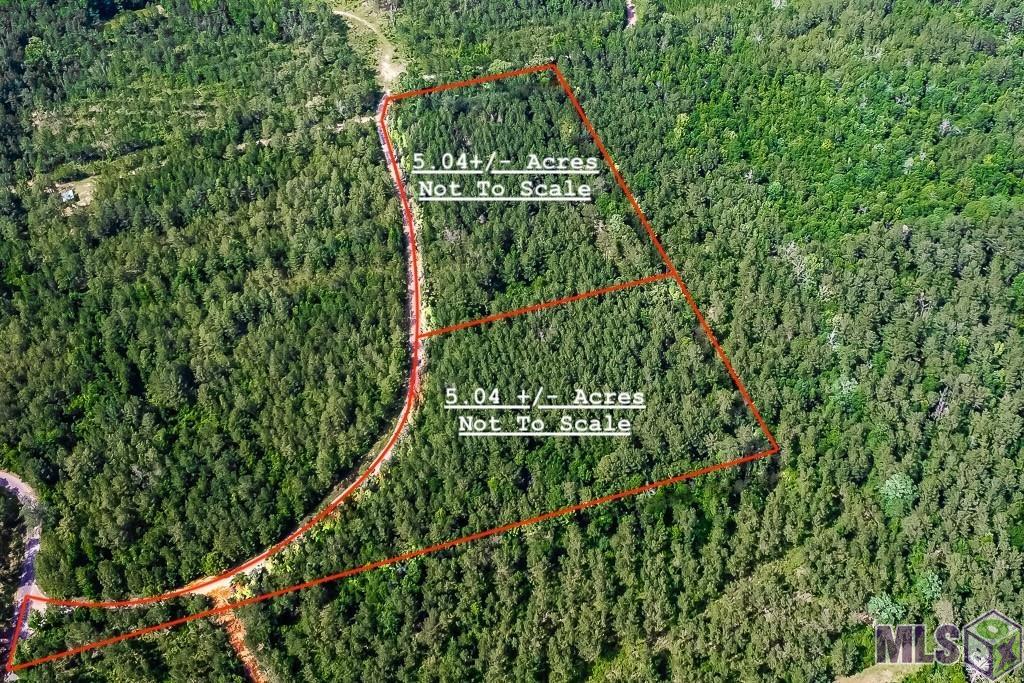 Tbd Pipes Lane Liberty, MS 39645 - Photo 4 of 6