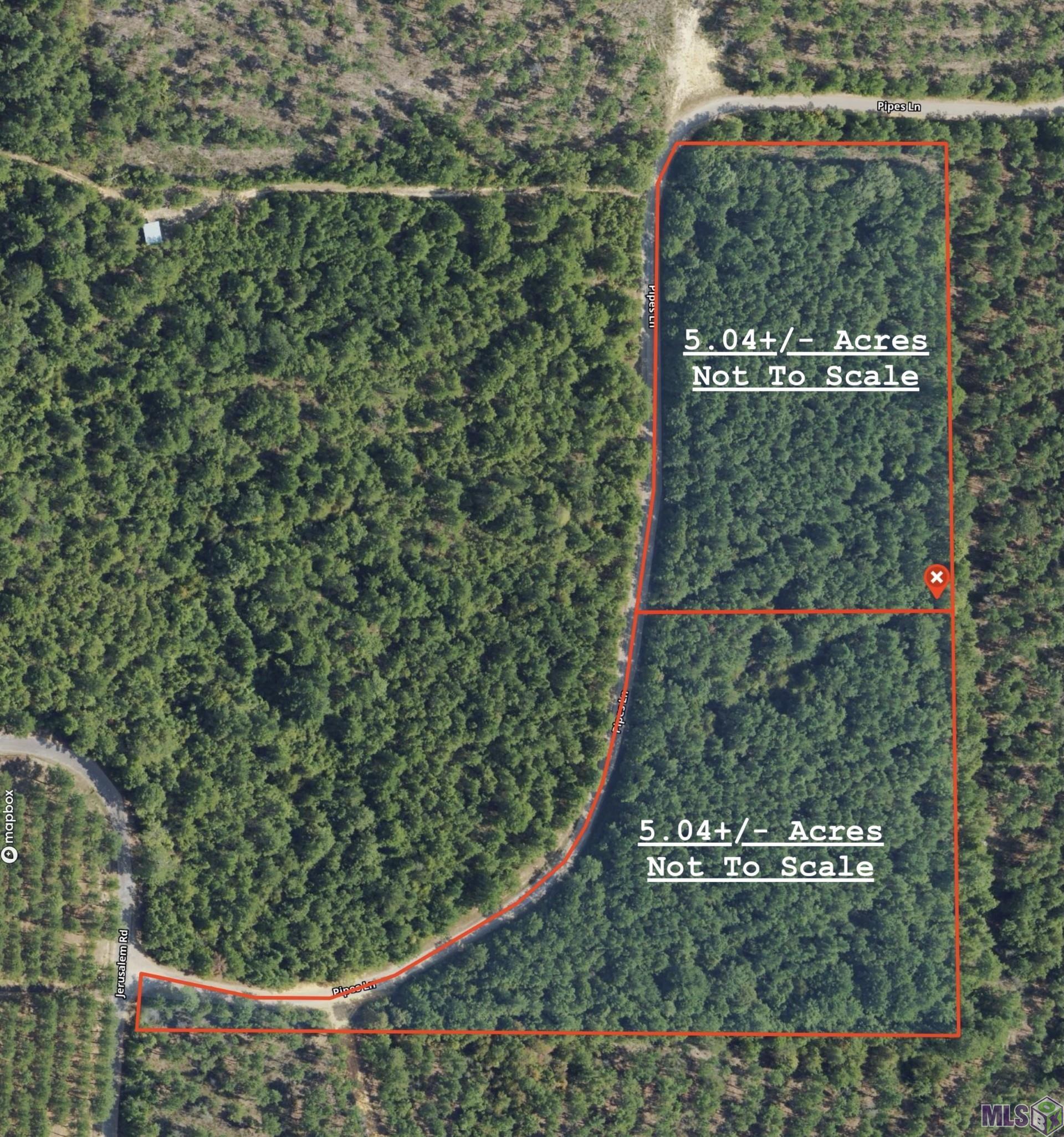 Tbd Pipes Lane Liberty, MS 39645 - Photo 6 of 6