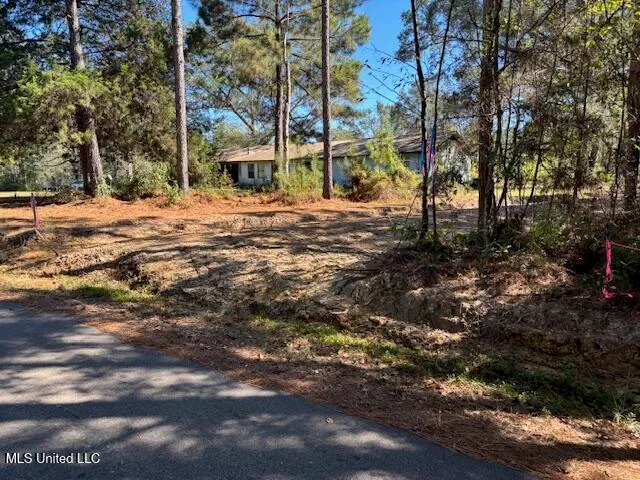 $100,000 | O'banner Loop, Brooklyn, MS 39425