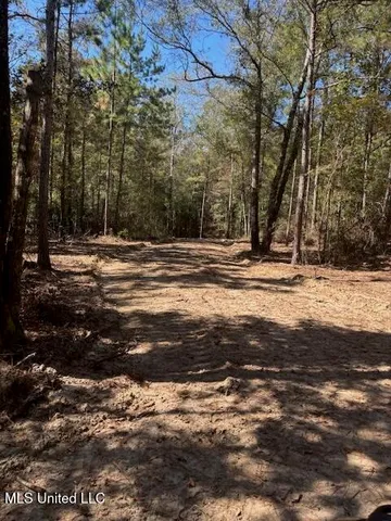 $100,000 | O'banner Loop, Brooklyn, MS 39425