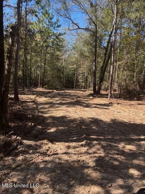 O'banner Loop Brooklyn, MS 39425 - Photo 3 of 9 Danos Property 1