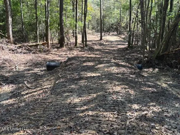 $100,000 | O'banner Loop, Brooklyn, MS 39425