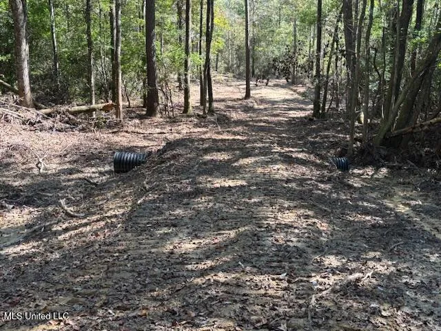 $100,000 | O'banner Loop, Brooklyn, MS 39425