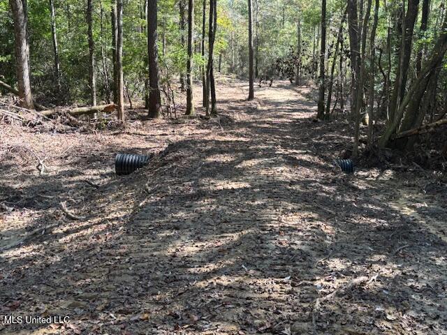 O'banner Loop Brooklyn, MS 39425 - Photo 4 of 9 Danos Property 3