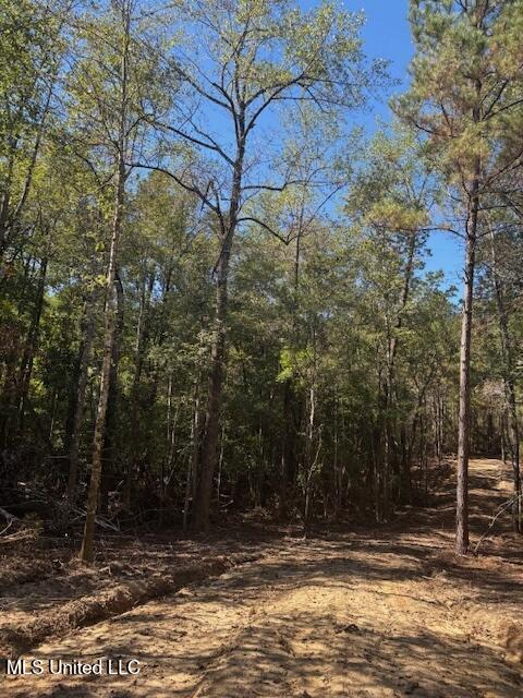 O'banner Loop Brooklyn, MS 39425 - Photo 5 of 9 Danos Property 5