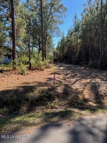 $100,000 | O'banner Loop, Brooklyn, MS 39425