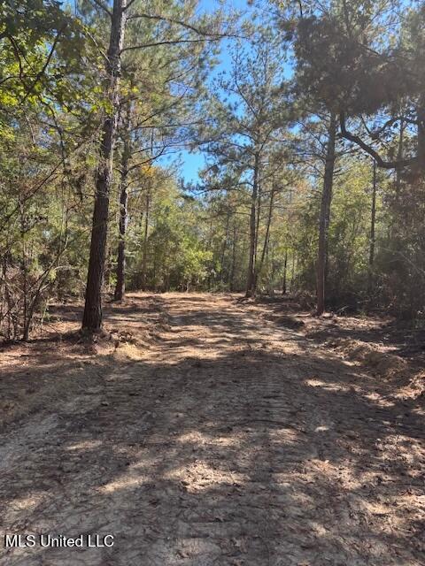 O'banner Loop Brooklyn, MS 39425 - Photo 7 of 9 Danos Property 4