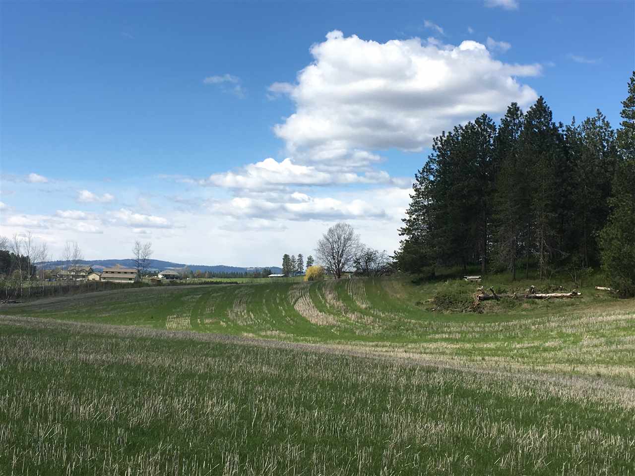 8700 East Big Meadows Road, Unit PARCEL A Colbert, WA 99005 - Photo 2 of 13