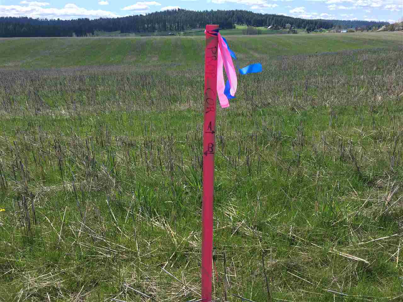 8700 East Big Meadows Road, Unit PARCEL A Colbert, WA 99005 - Photo 13 of 13