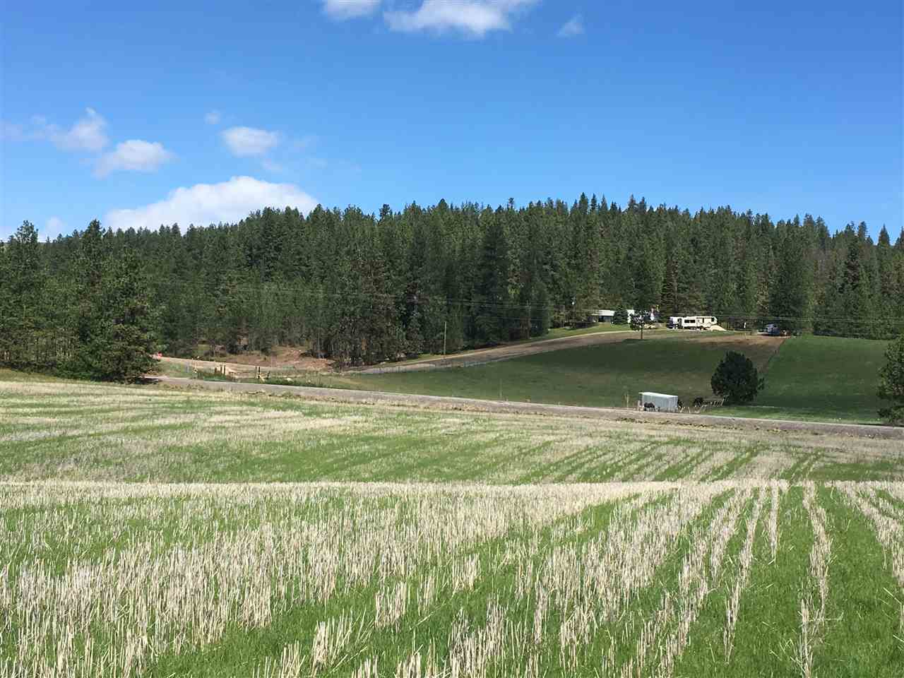 8700 East Big Meadows Road, Unit PARCEL A Colbert, WA 99005 - Photo 3 of 13