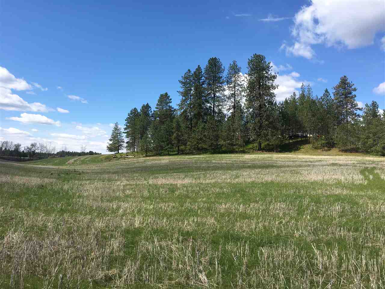 8700 East Big Meadows Road, Unit PARCEL A Colbert, WA 99005 - Photo 4 of 13
