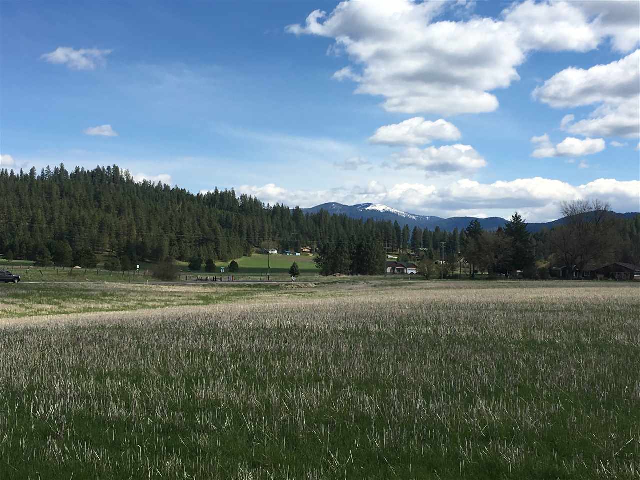 8700 East Big Meadows Road, Unit PARCEL A Colbert, WA 99005 - Photo 5 of 13
