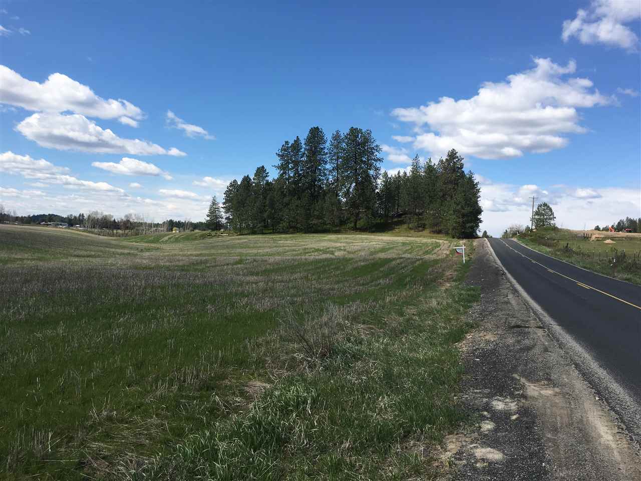 8700 East Big Meadows Road, Unit PARCEL A Colbert, WA 99005 - Photo 6 of 13
